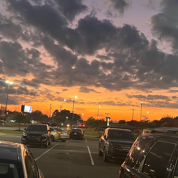 Meet your Posher, Addie - Picture 1 of 1